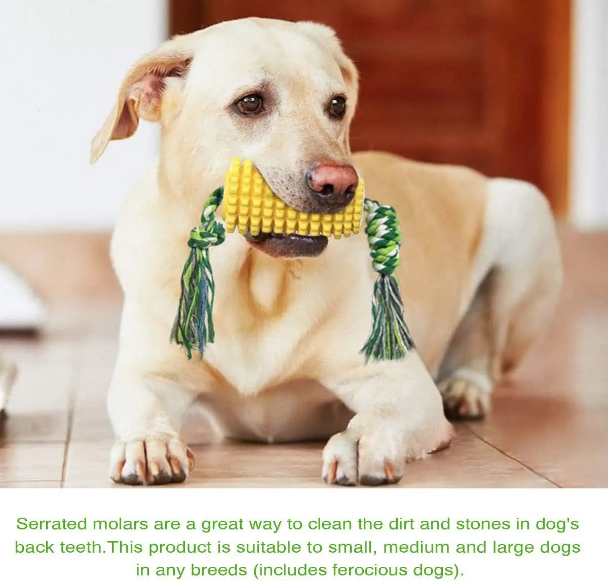 Dog Chew Toy Corn - FurryFinds