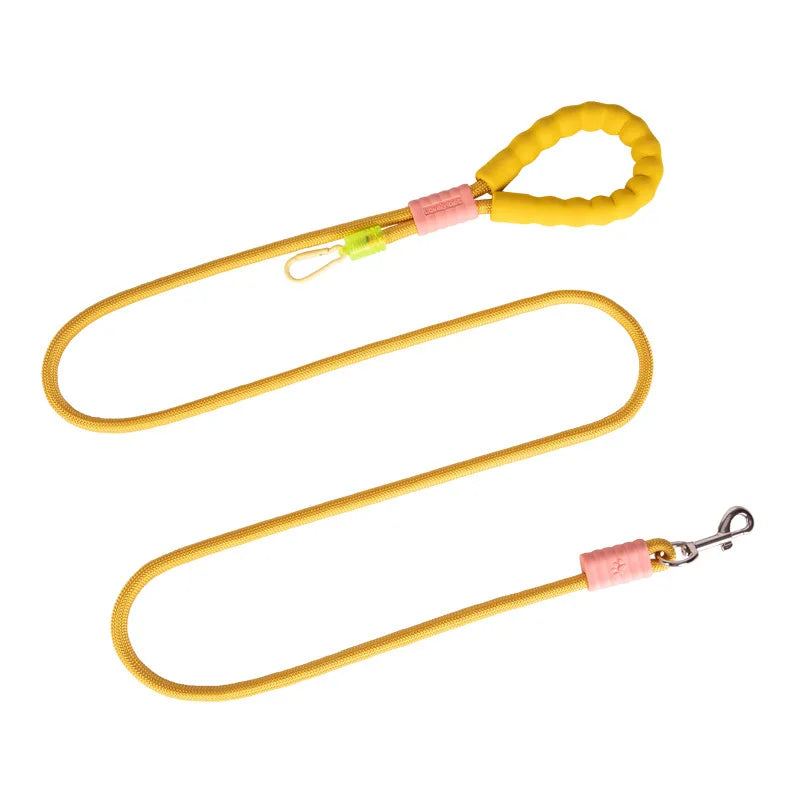 Dog Leash - FurryFinds