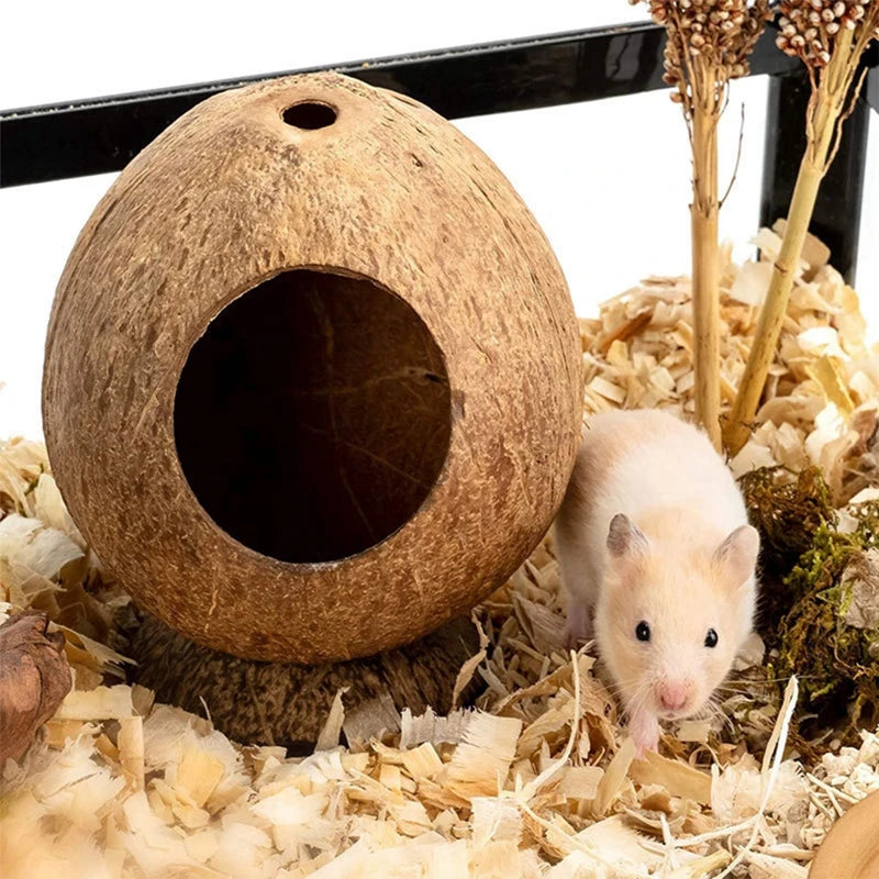 Hamster Coconut House