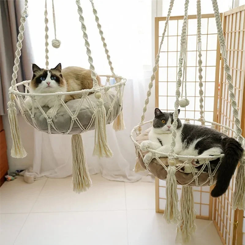 Cat Swing - FurryFinds