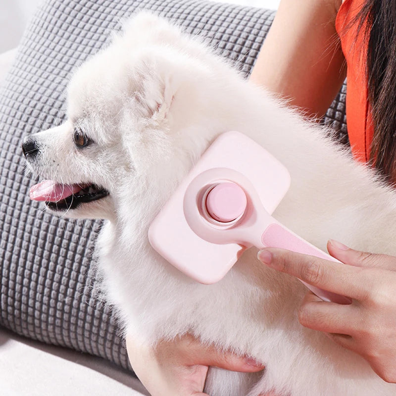 MADDEN Self Cleaning Brush - FurryFinds