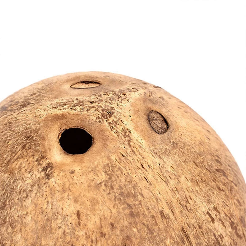 Hamster Coconut House
