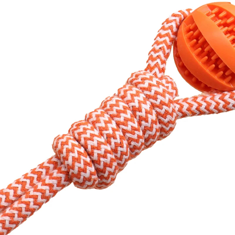 Swing Rope Toy - FurryFinds