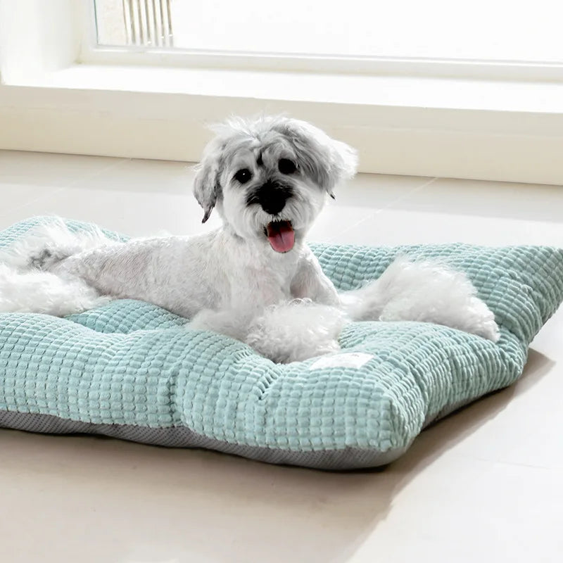 Dog Bed