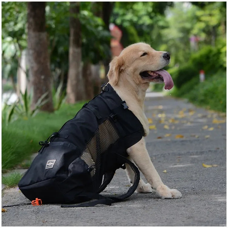 Dog Travel Backpack - FurryFinds