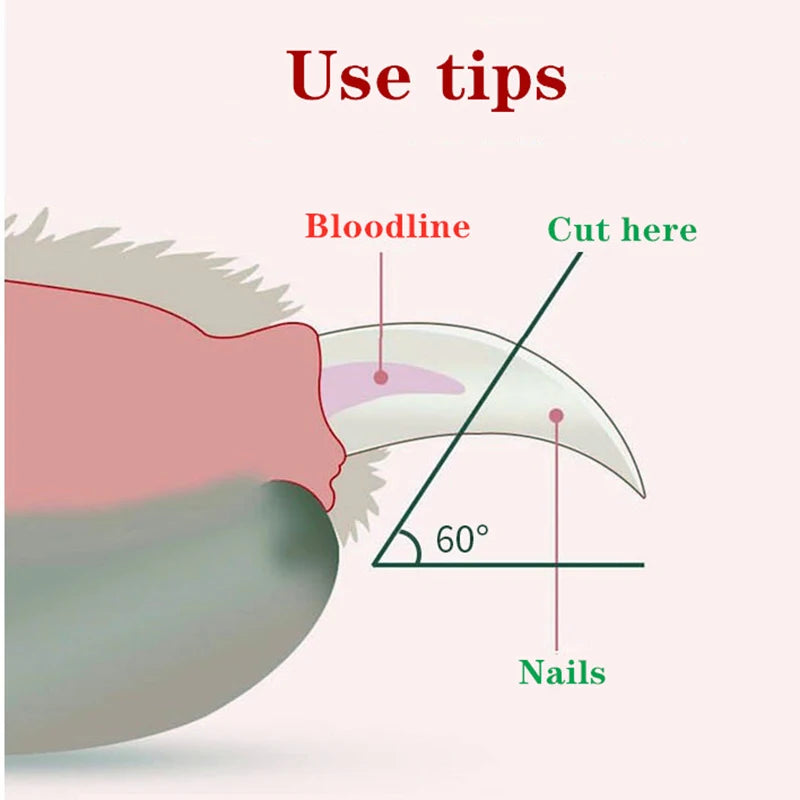 Nail Clipper LED Light - FurryFinds