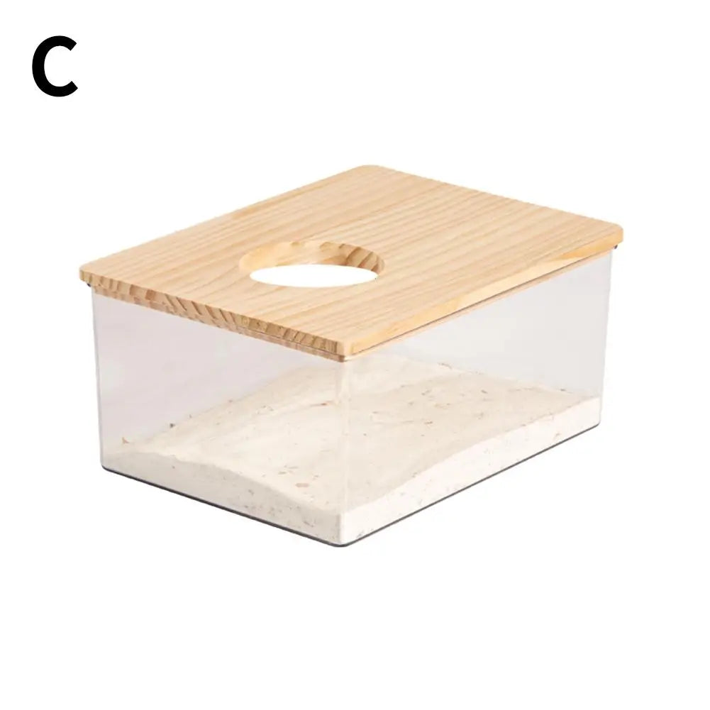 Hamster Golden Bear Sand Bath