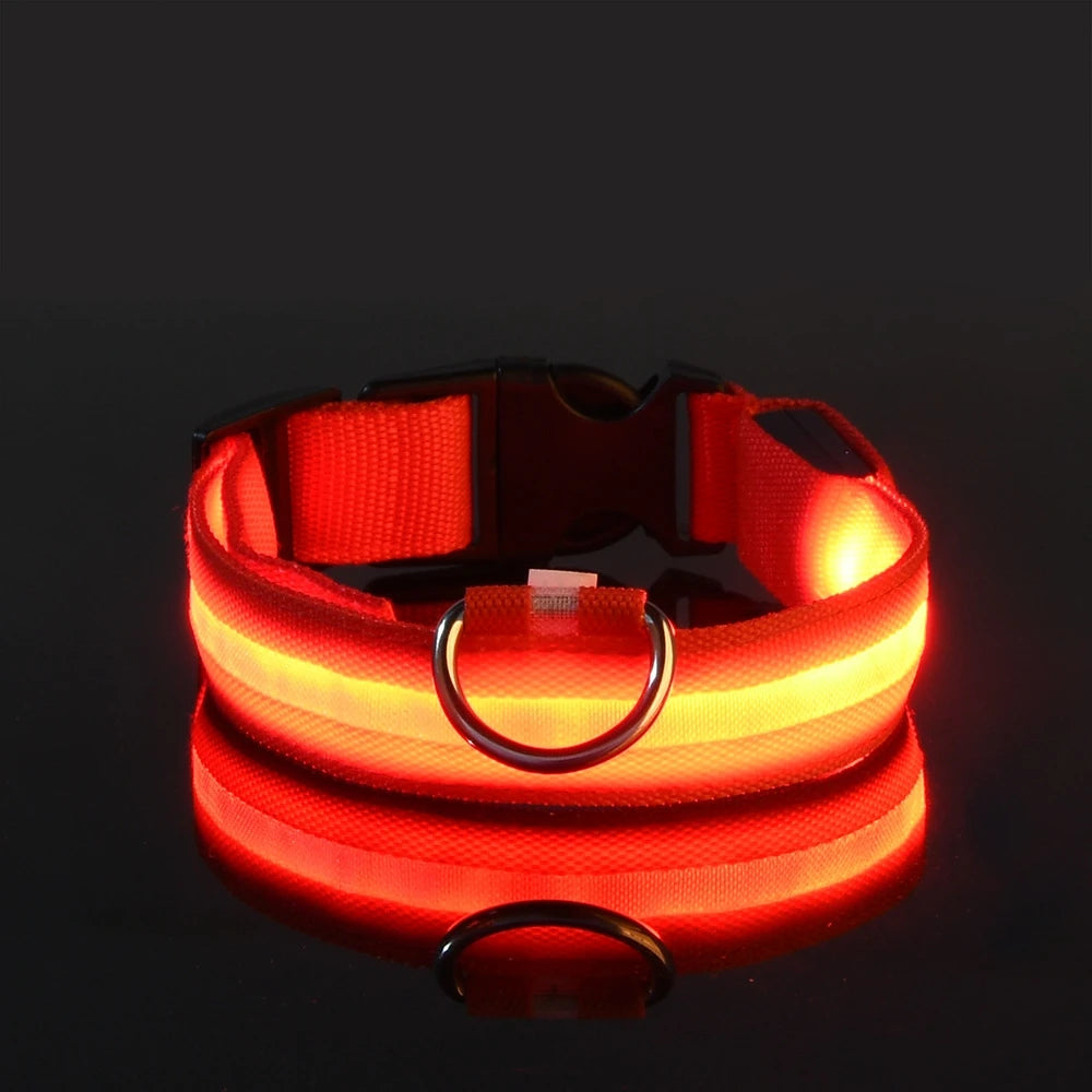 LED Night Safety Collar - FurryFinds