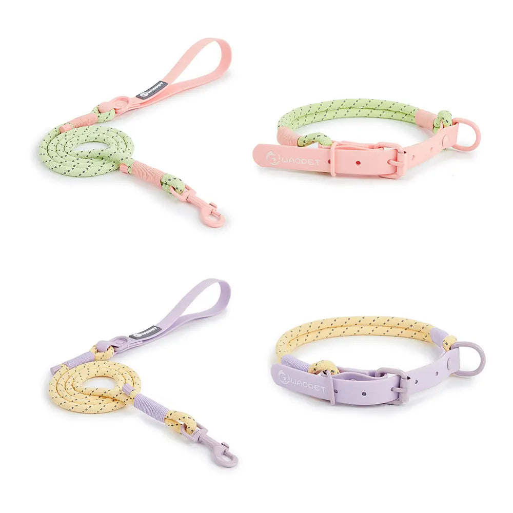 Dog Leash 