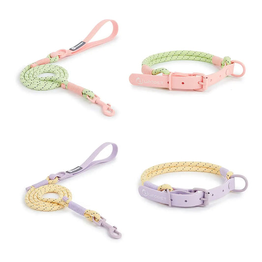 Dog Leash 