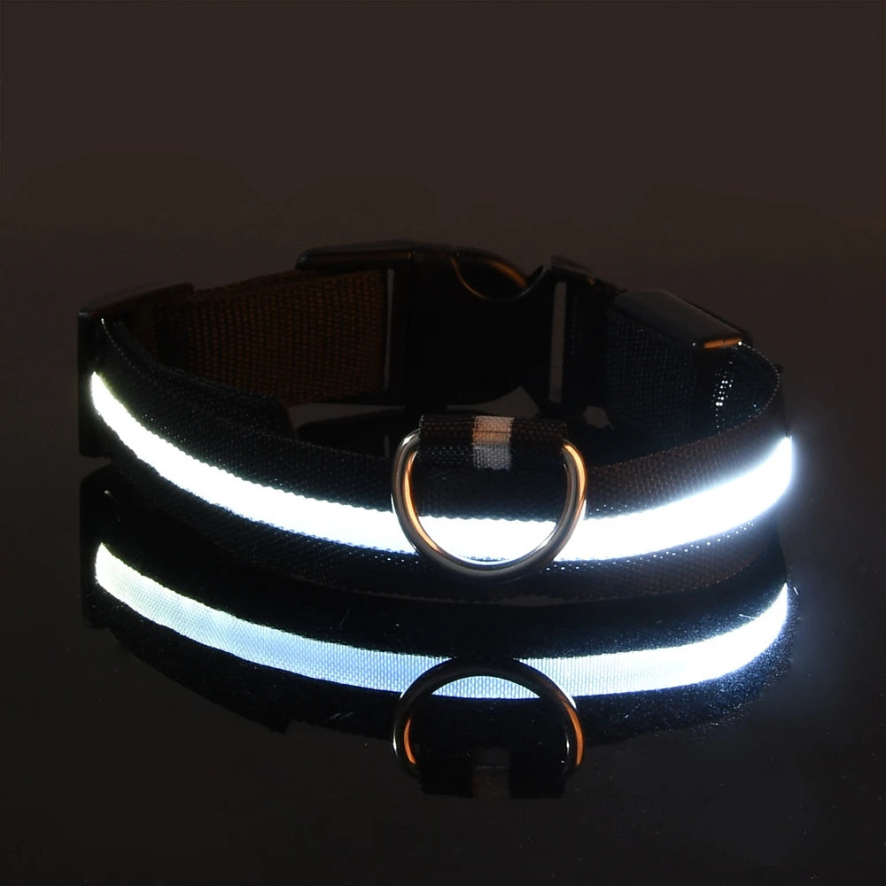 LED Night Safety Collar - FurryFinds