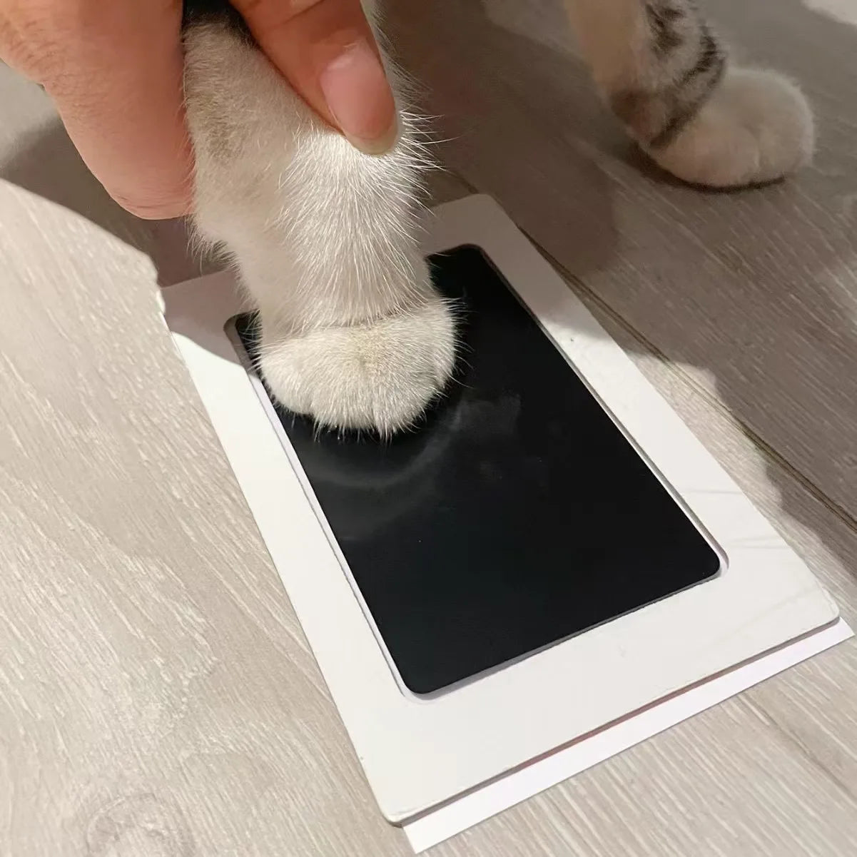 Best Friend Paw Print - FurryFinds