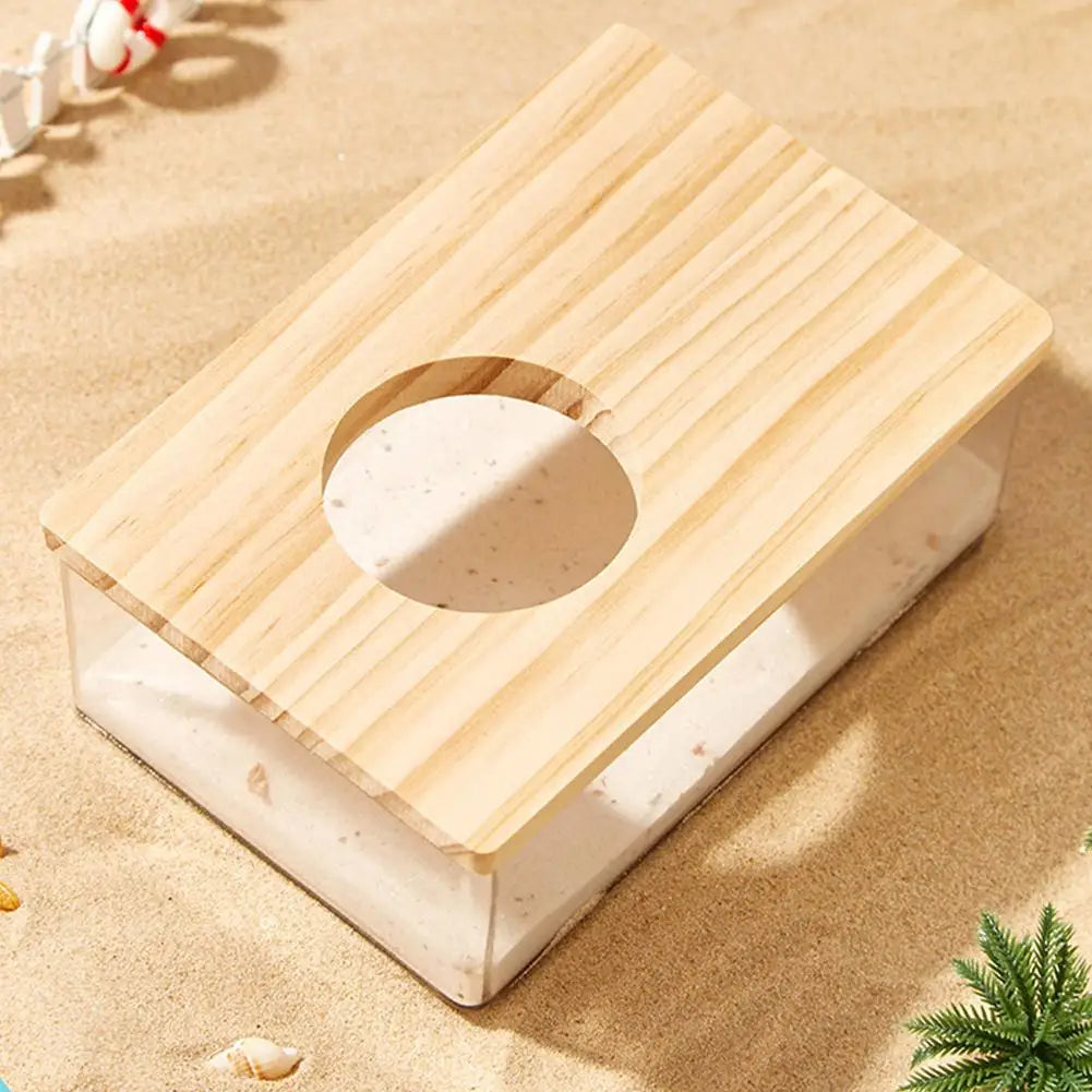 Hamster Golden Bear Sand Bath