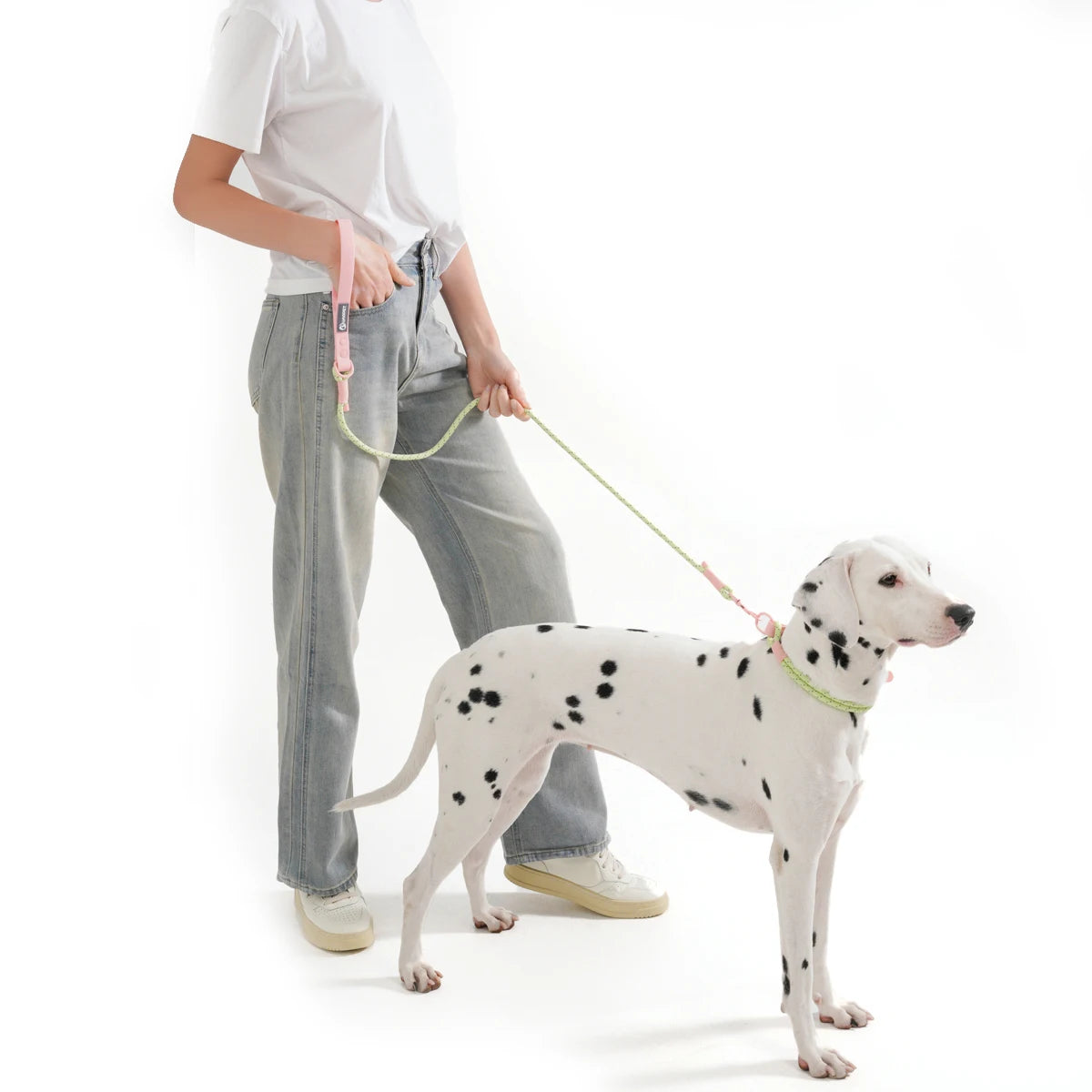Candy Color Leash Set - FurryFinds