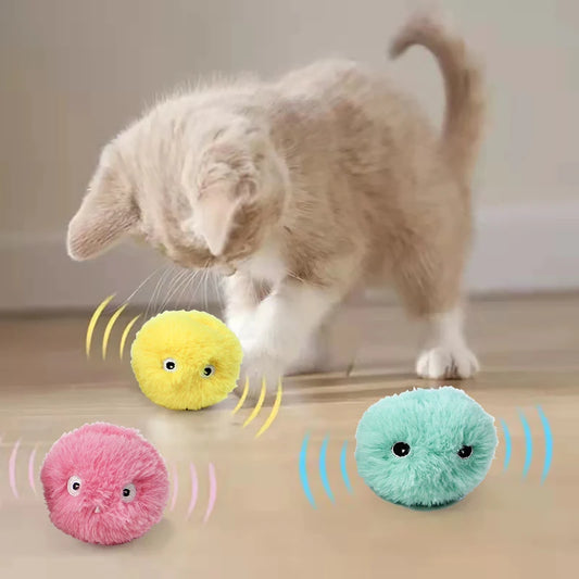 Interactive Toy 