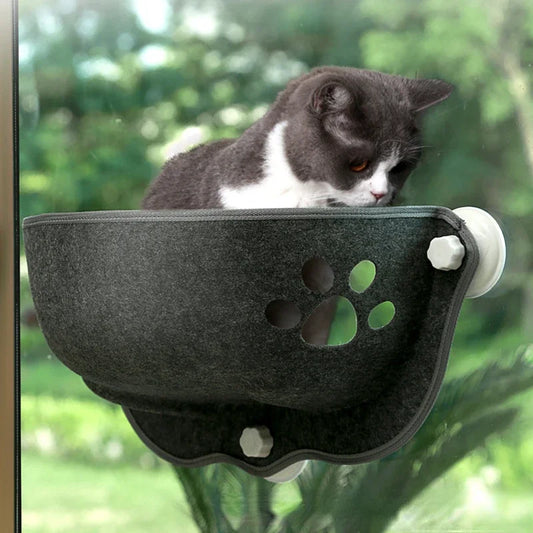 Cat Hammock 