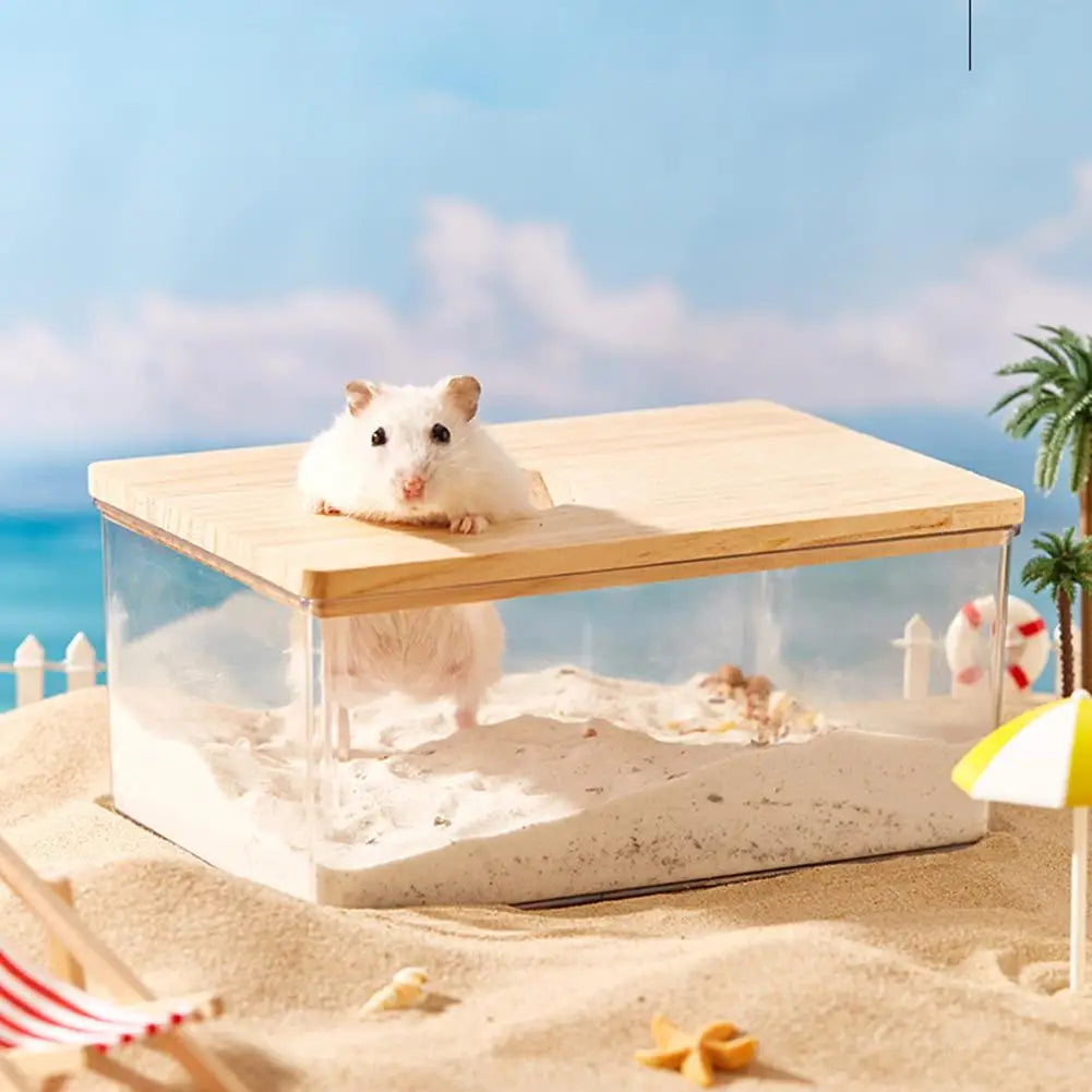 Hamster Golden Bear Sand Bath