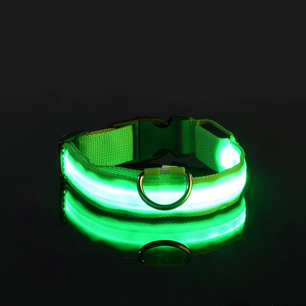 LED Night Safety Collar - FurryFinds