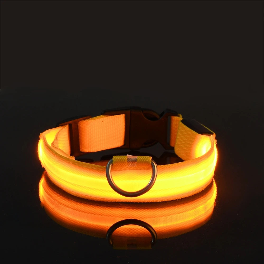 LED Night Safety Collar - FurryFinds