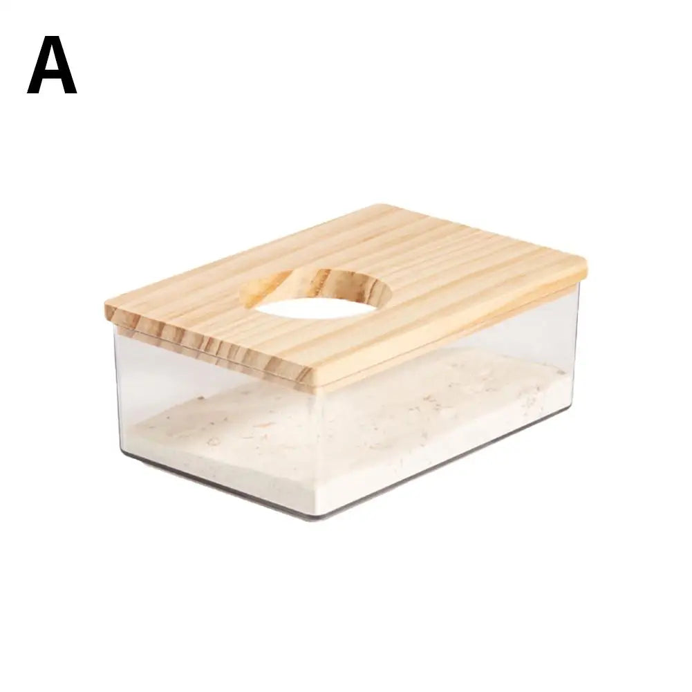 Hamster Golden Bear Sand Bath