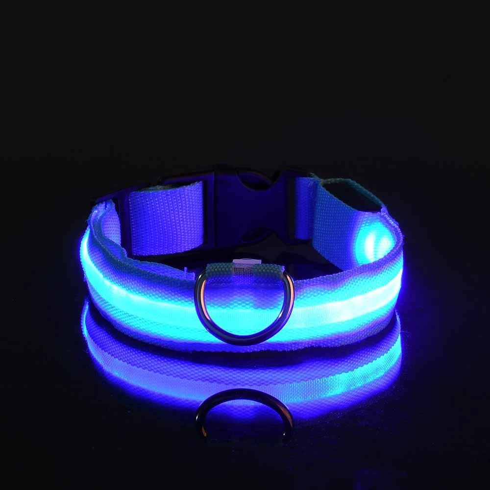 LED Night Safety Collar - FurryFinds