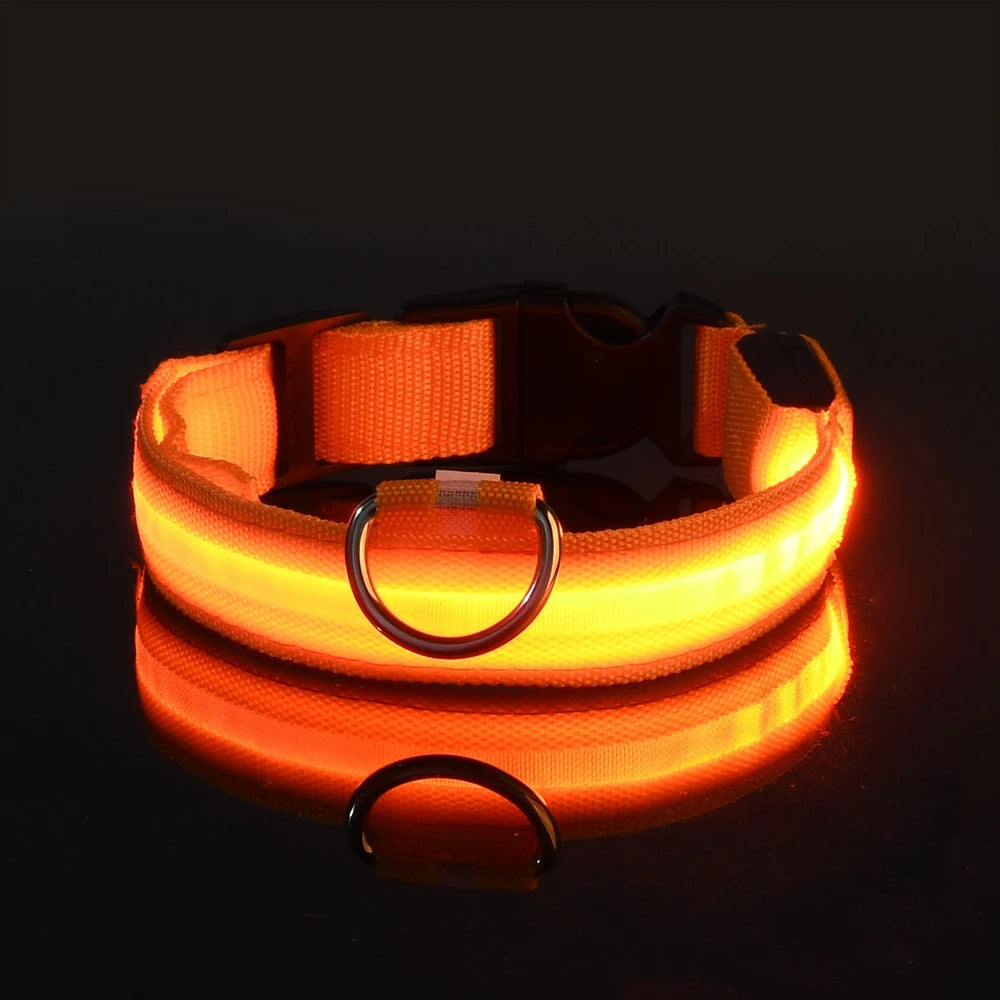 LED Night Safety Collar - FurryFinds