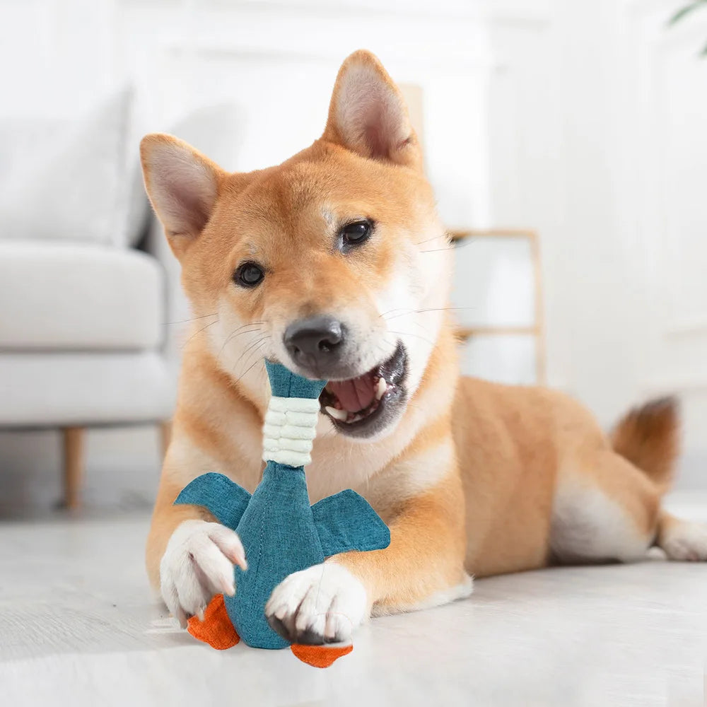 Quack - FurryFinds