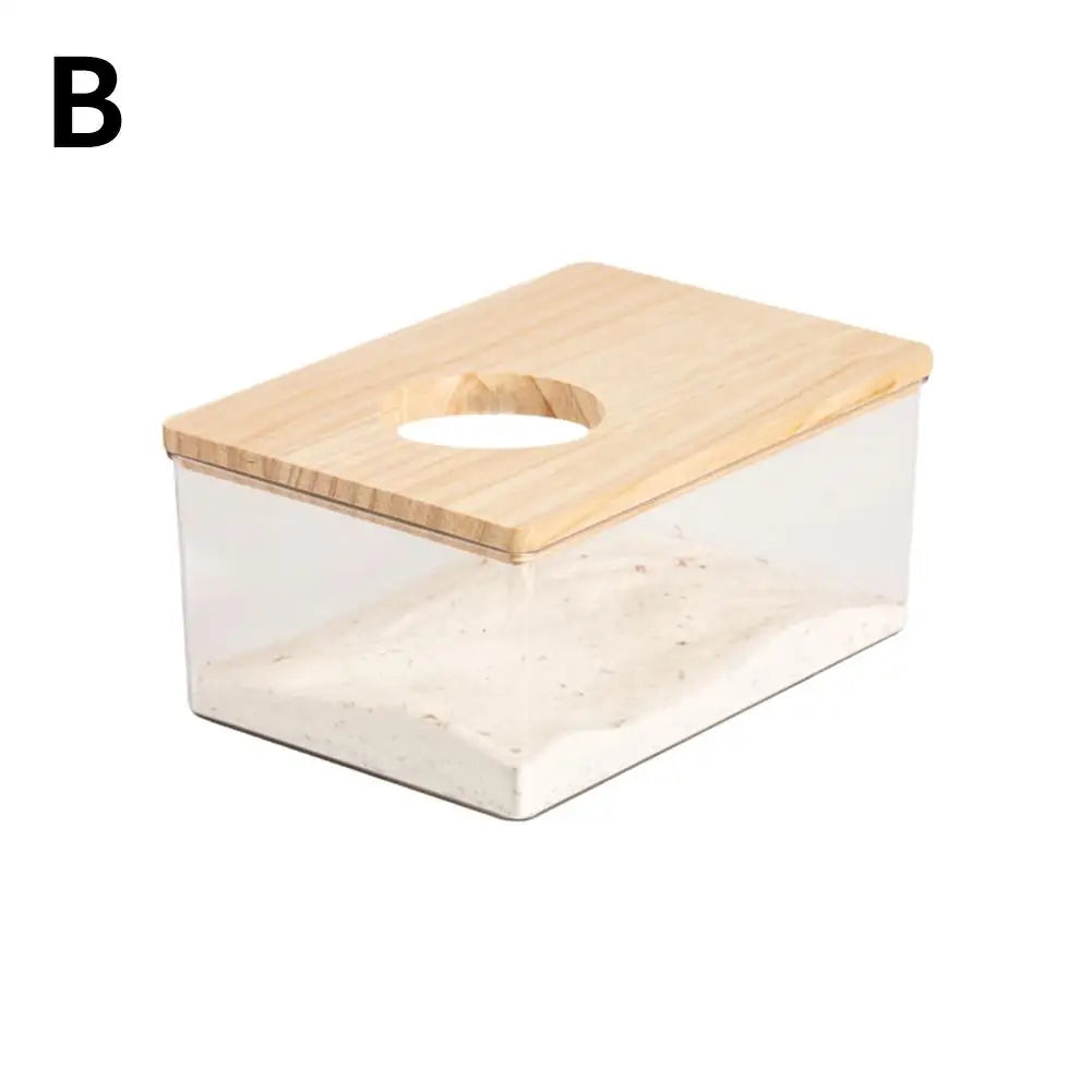 Hamster Golden Bear Sand Bath