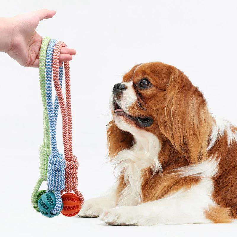 Dog Toys Affordable 