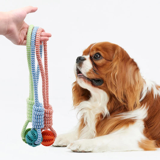 Dog Toys Affordable 