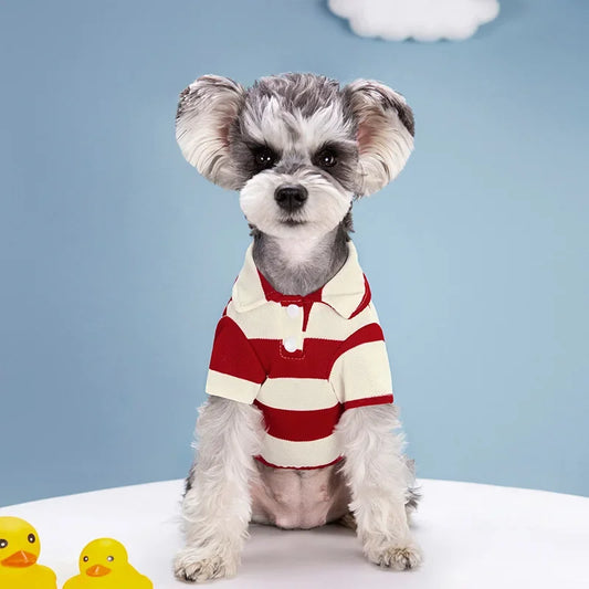 Dog Fashion 