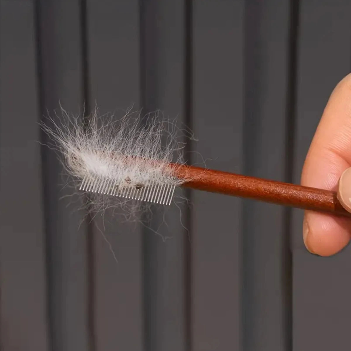 Easy Remove Tear Stains - FurryFinds