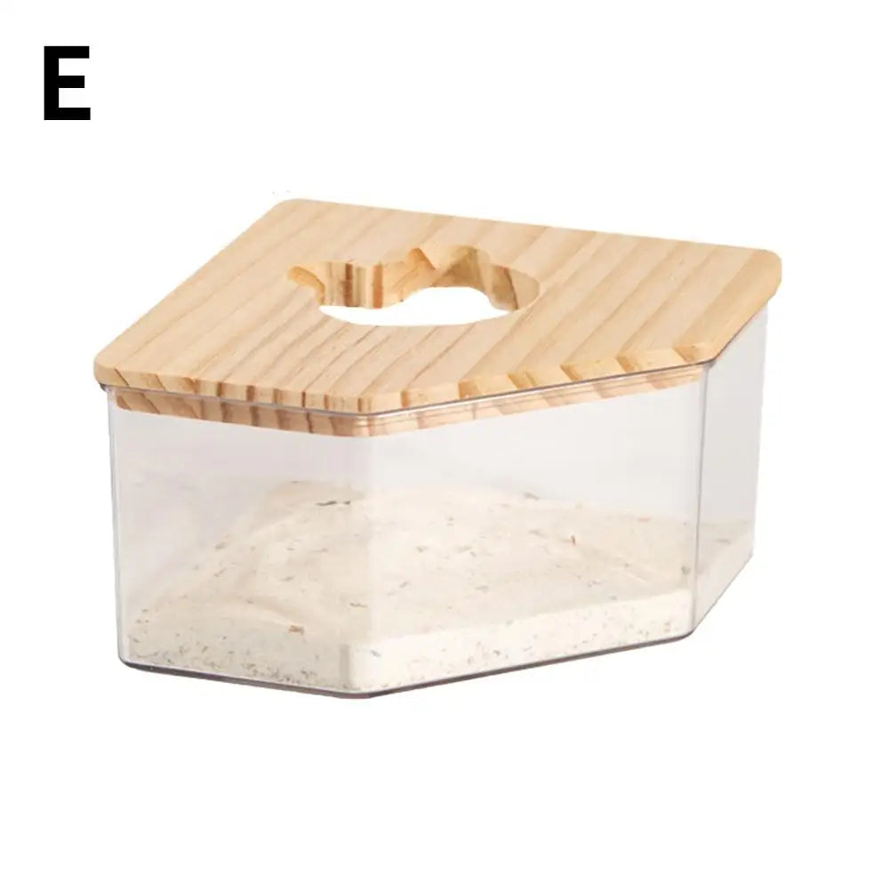 Hamster Golden Bear Sand Bath