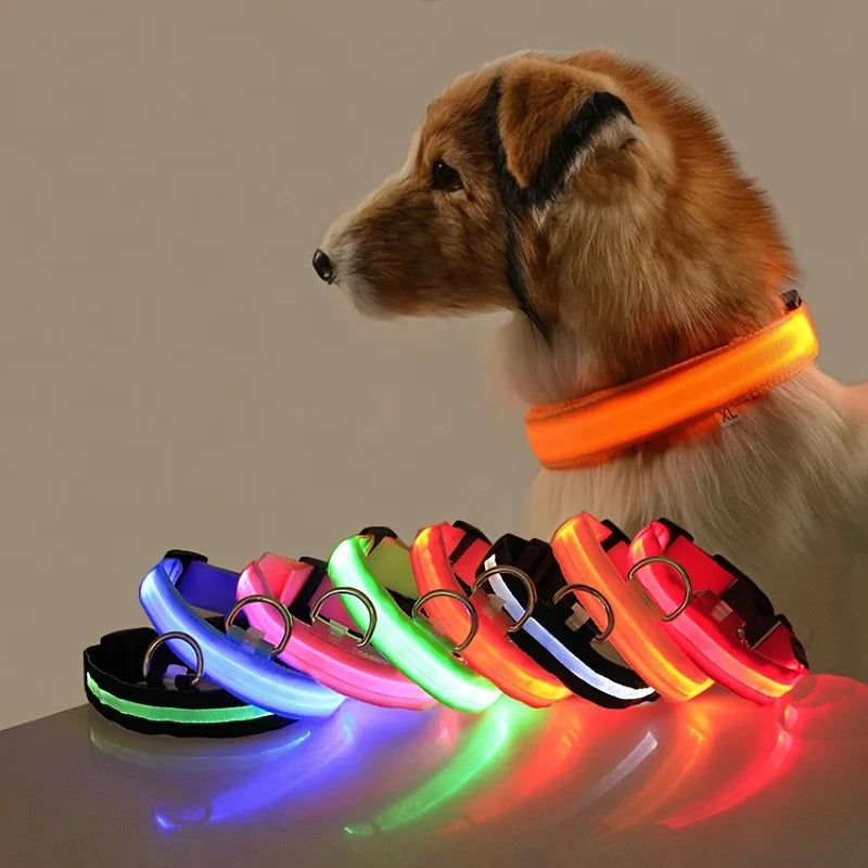 Dog Collar 