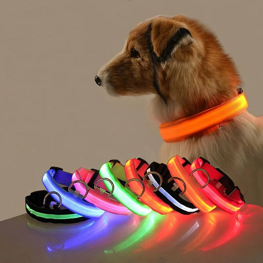 Dog Collar 