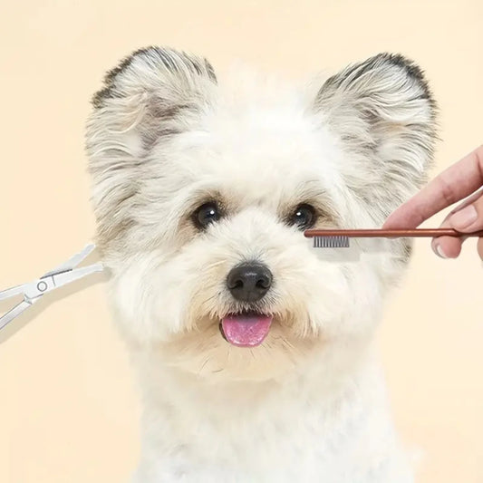 Pet Grooming 