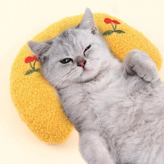 cat bed