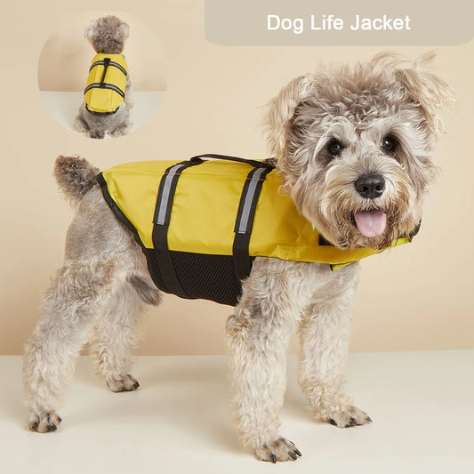 Dog Supplies 