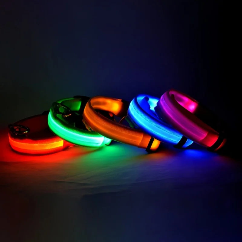LED Night Safety Collar - FurryFinds