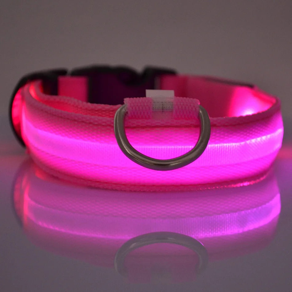 LED Night Safety Collar - FurryFinds