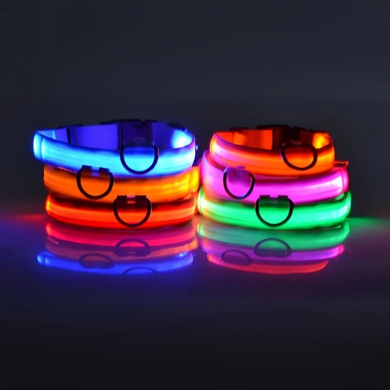 LED Night Safety Collar - FurryFinds