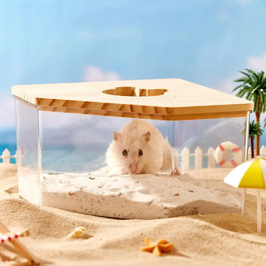 Hamster Supplies 