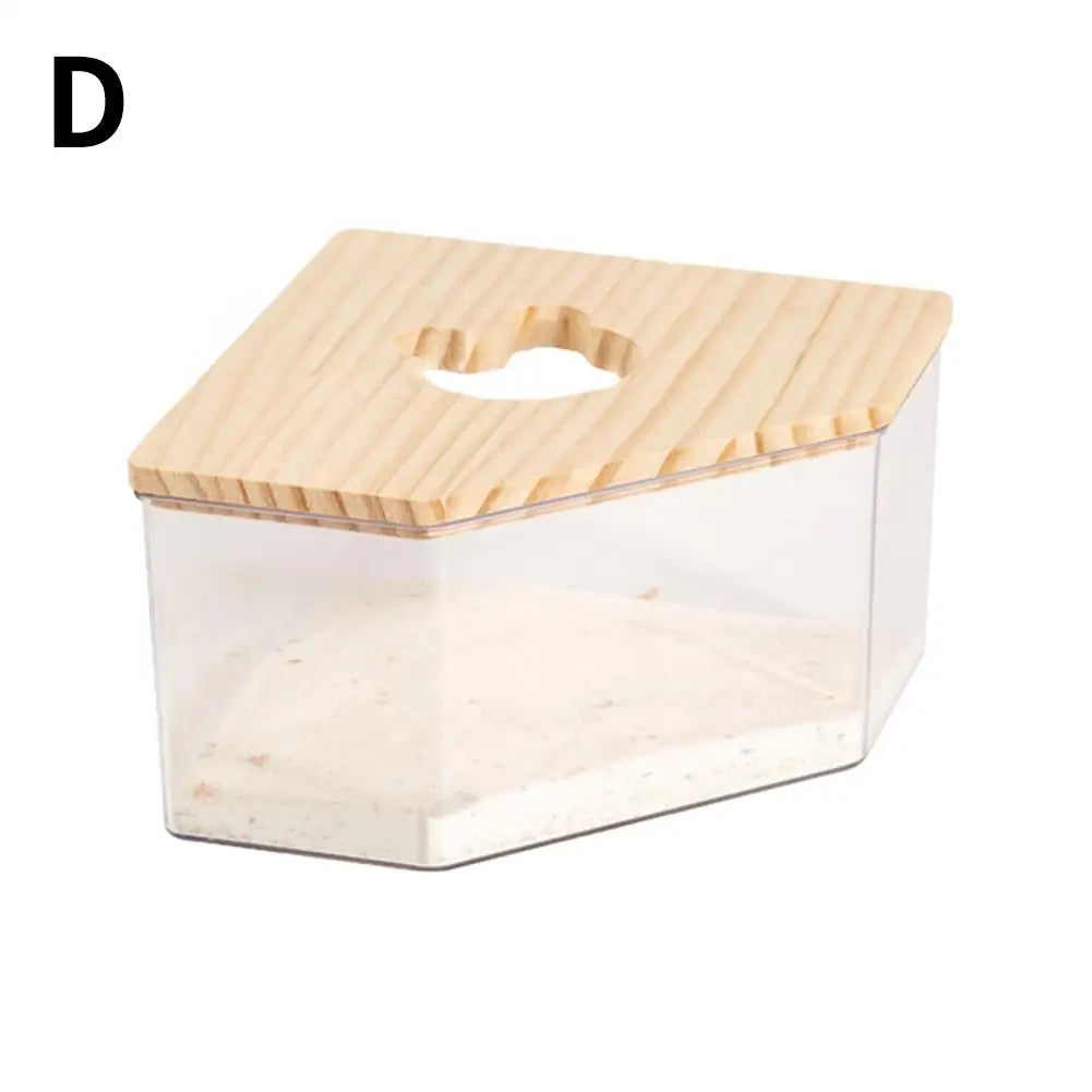 Hamster Golden Bear Sand Bath