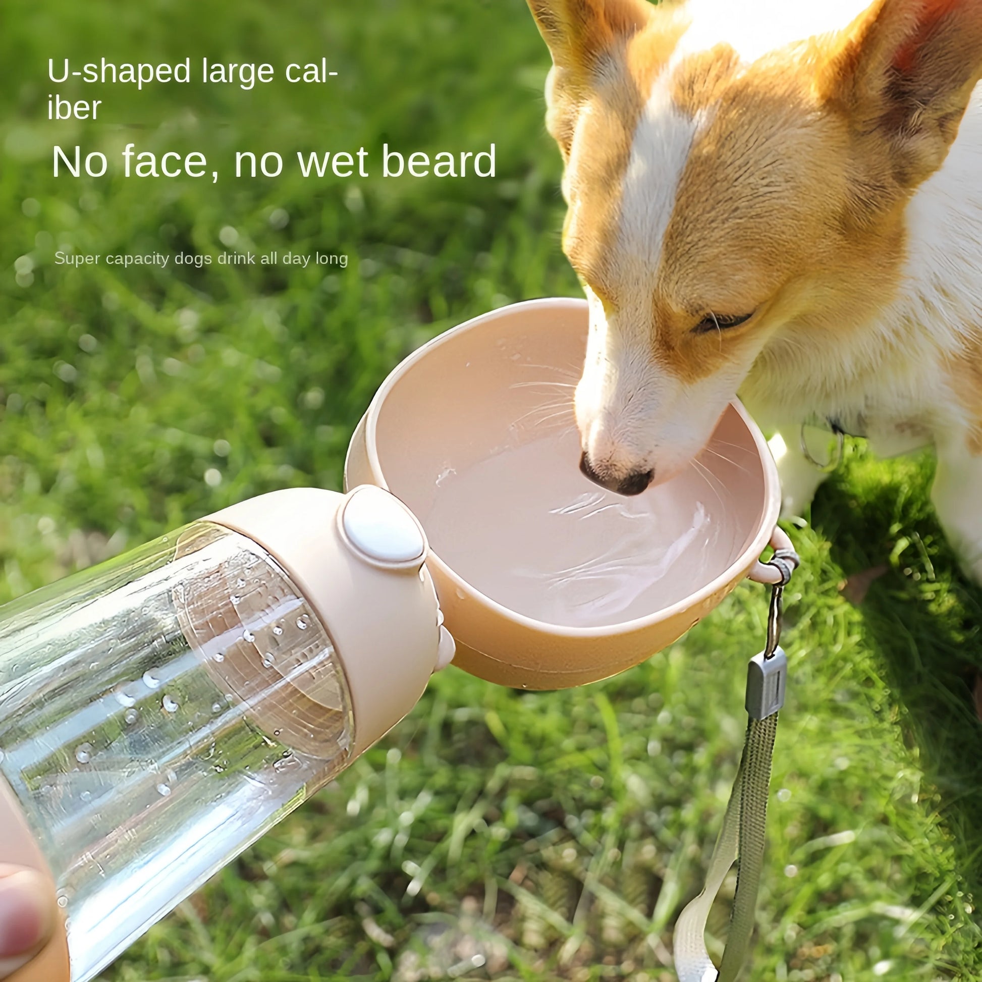 Dog Portable Water Bowl - FurryFinds