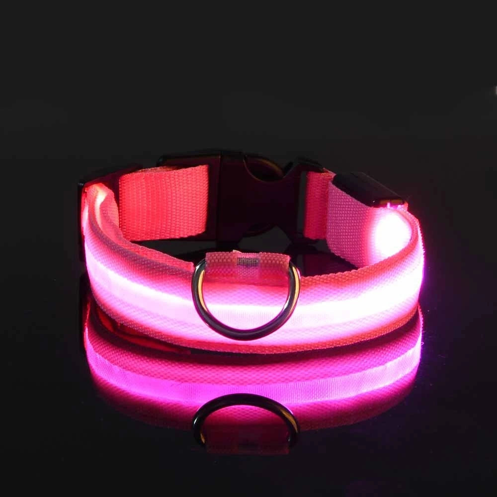 LED Night Safety Collar - FurryFinds