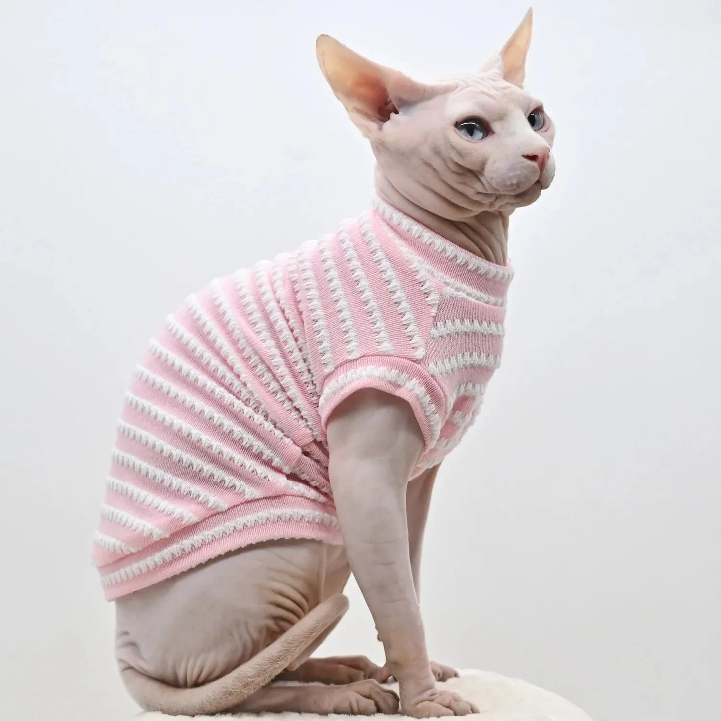 Sphinx Fashion - FurryFinds