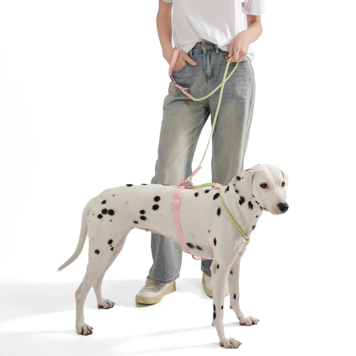 Candy Color Leash Set - FurryFinds