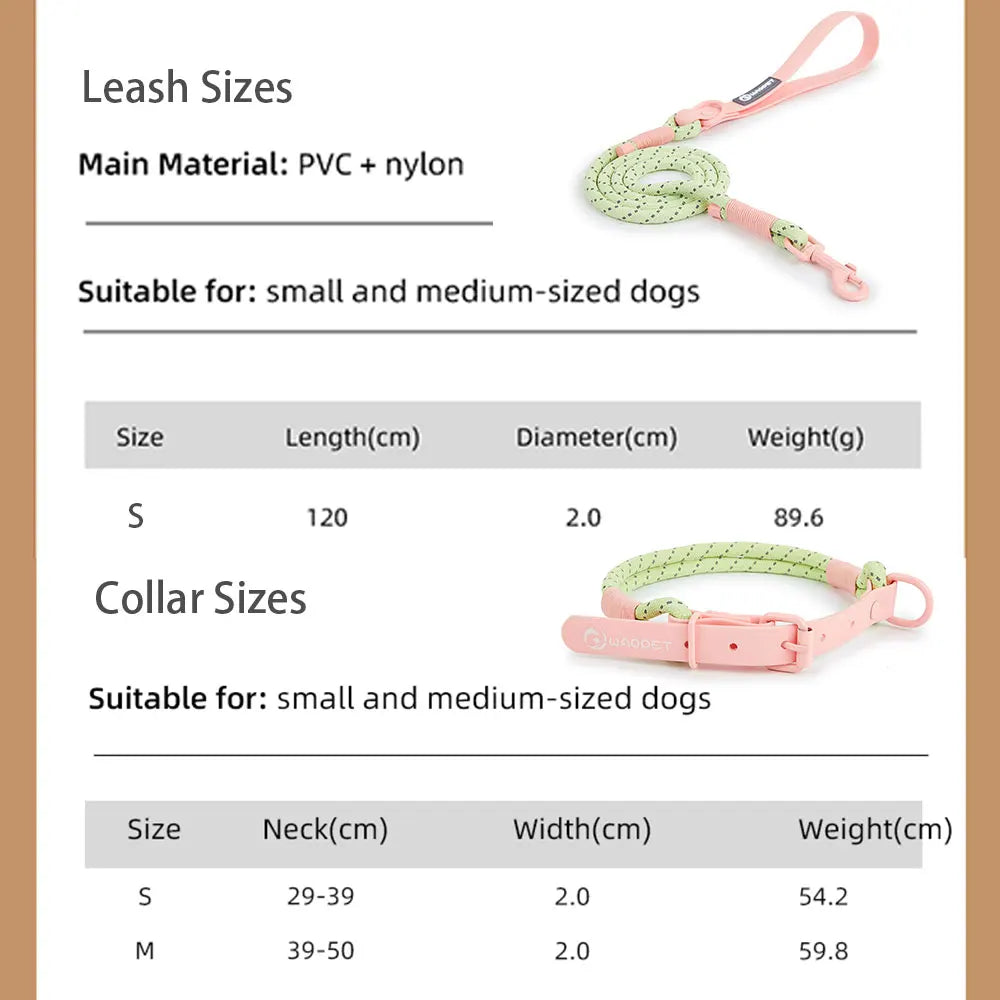 Candy Color Leash Set - FurryFinds
