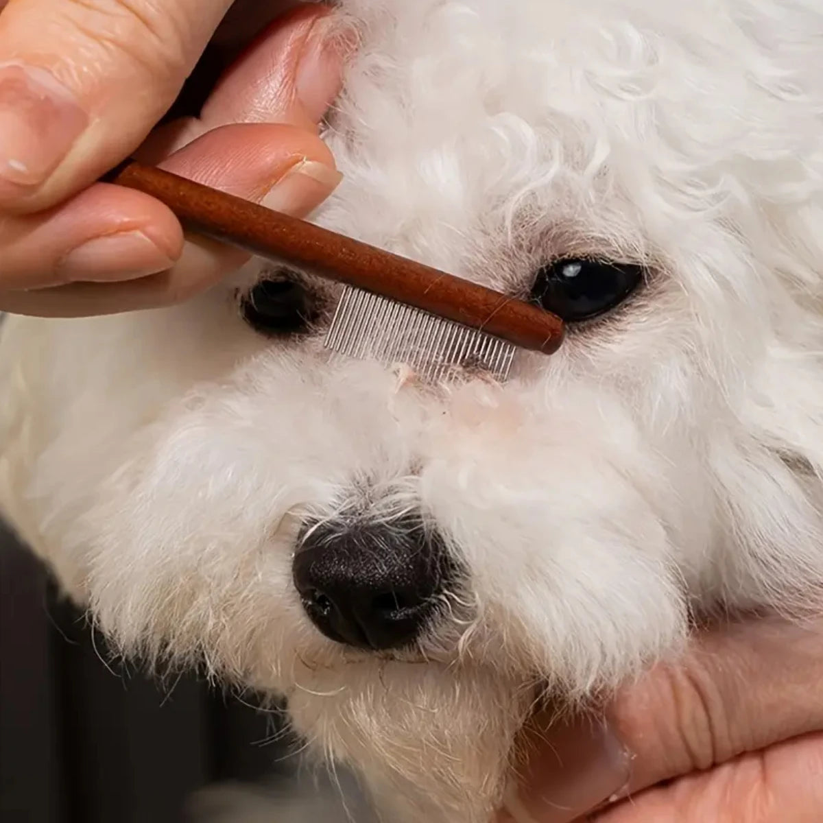 Easy Remove Tear Stains - FurryFinds