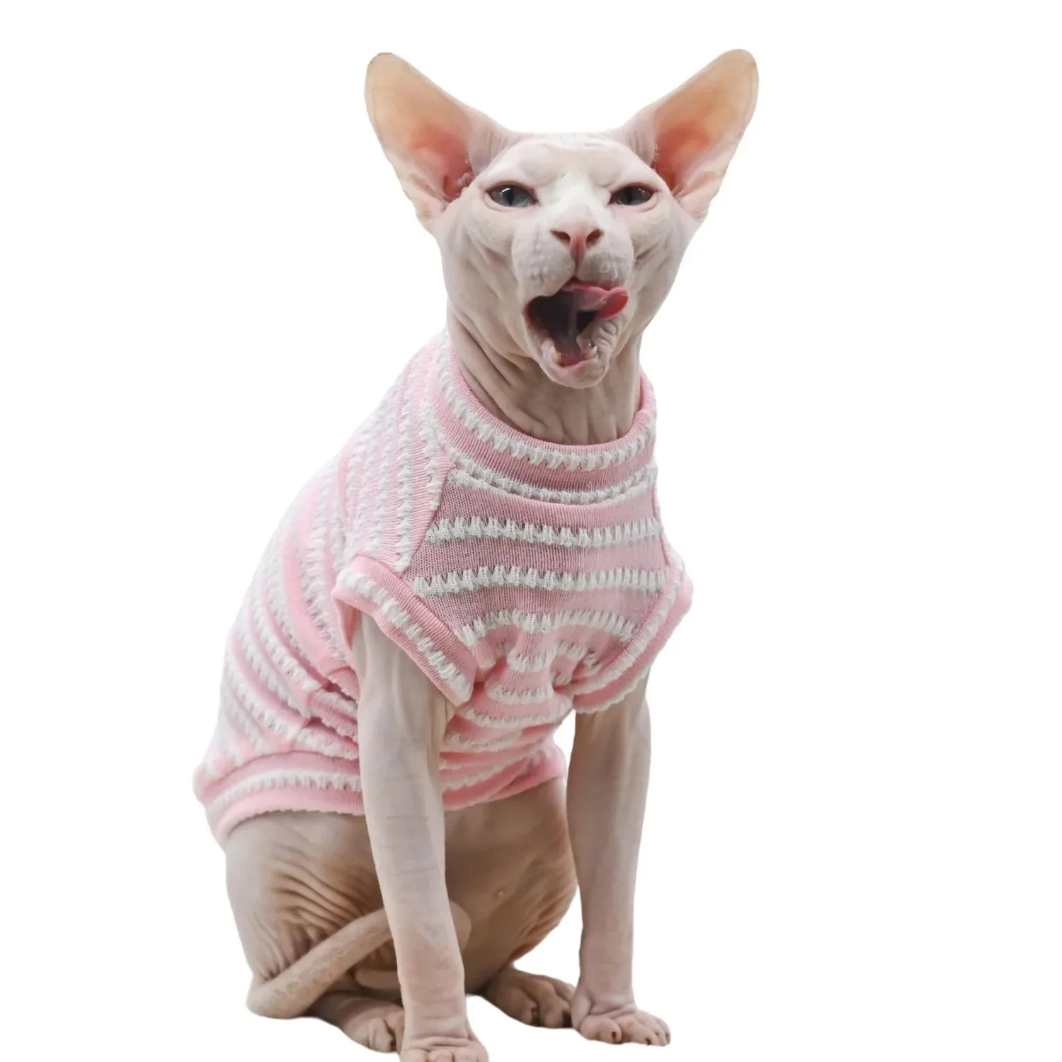 Cat Supplies